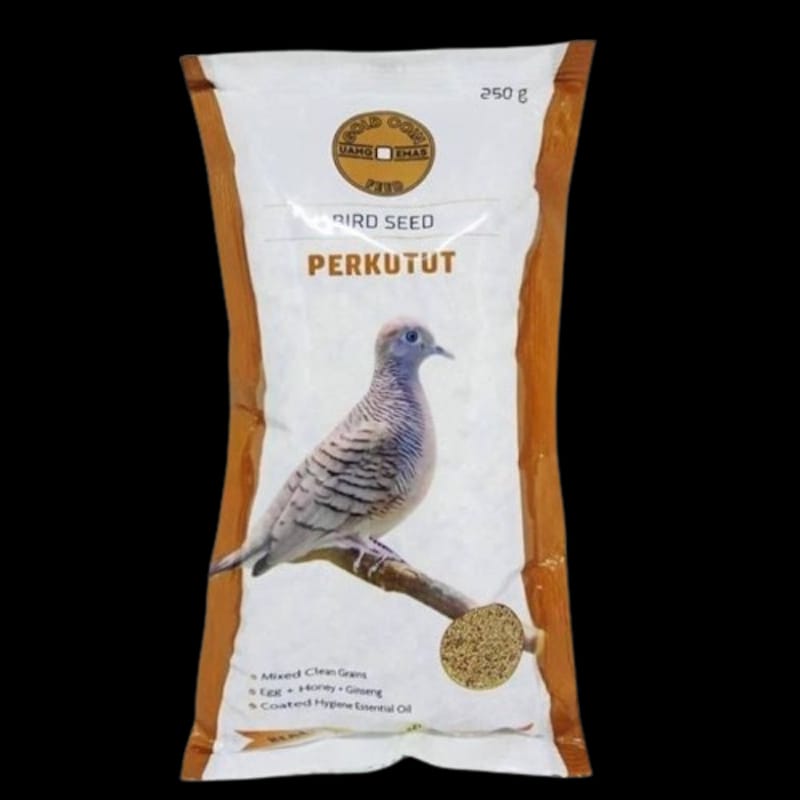 GOLD COIN PERKUTUT